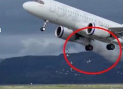 海鸥被吸入挪威客机瞬间蒸发,飞机引
