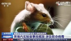 美生物实验室感染病毒的小白鼠逃了,已提交给俄罗斯