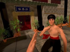 Oculus Quest 游戏《龙拳：VR功夫》中文版 Dragon Fist: VR