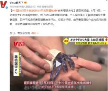 中国夫妇日本旅游抓683只蟹被