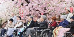 日本第一代丁克正疯狂相亲,50岁以上老人占53%
