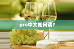 pro中文如何读？(pro中文怎么读语音